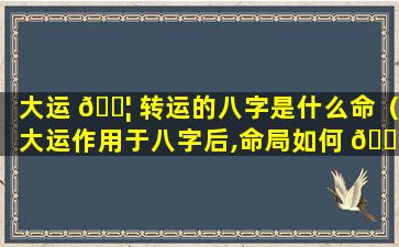 大运 🐦 转运的八字是什么命（大运作用于八字后,命局如何 🕷 变化）